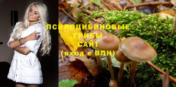 скорость Краснослободск