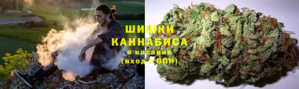 гидропоника Кулебаки