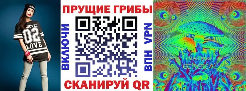 Псилоцибиновые грибы Cubensis купить сайты Сельцо